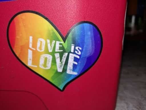 Love Is Love Sticker